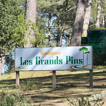 Apt Les Grands Pins, Entre Foret, Lac Et Ocean Carcans Ngoại thất bức ảnh