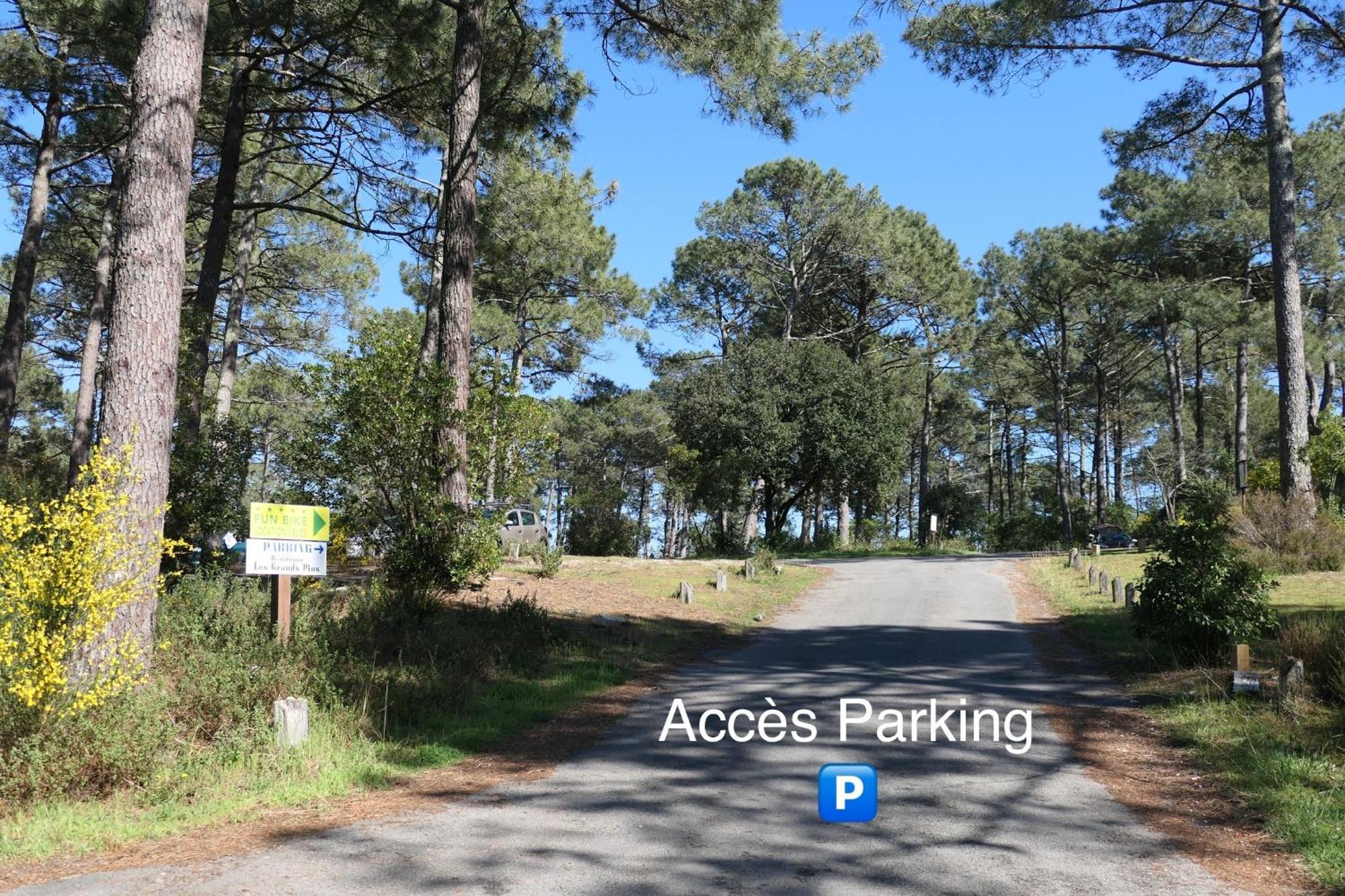 Apt Les Grands Pins, Entre Foret, Lac Et Ocean Carcans Ngoại thất bức ảnh